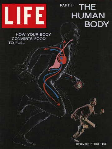 Life magazine